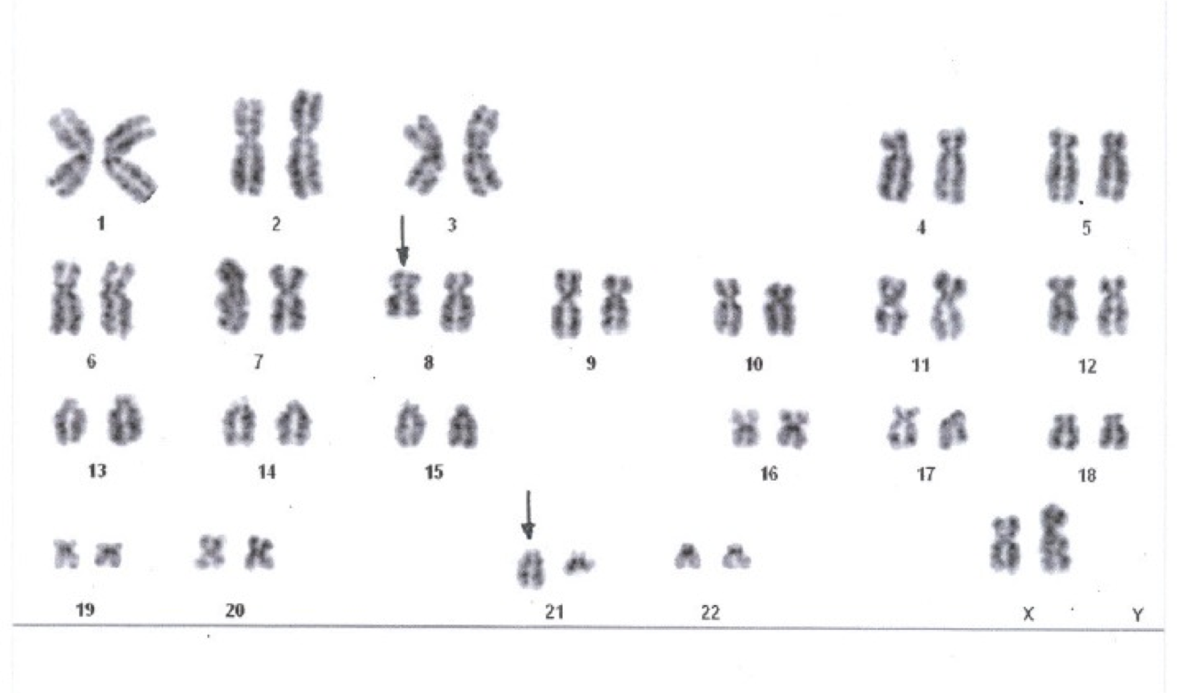 Cytogenetics